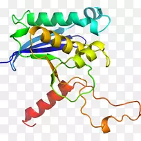 �����߶����������-������