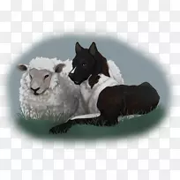 狗毛,鼻子,狗科,-狗-空若网 狗毛,鼻子,狗科,-狗-空若网