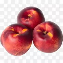 ÓÍÌÒ¹û¸¬Ê³ÎïÆÕͨÀî×Ó-¿ÕÈôÍø ÓÍÌÒ¹û¸¬Ê³ÎïÆÕͨÀî×Ó-¿ÕÈôÍø