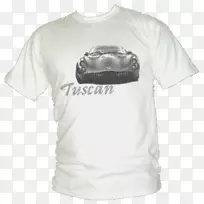 t���侱����t��-������