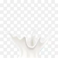 ��ש-ţ��-������