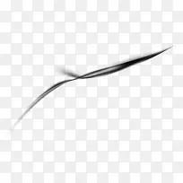 直线白线-空若网 直线白线-空若网