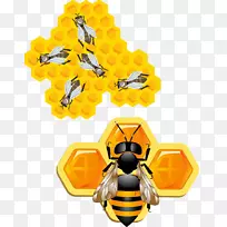 蜜蜂昆虫蜂巢剪贴画.三维蜜蜂-空若网 蜜蜂昆虫蜂巢剪贴画.三维蜜蜂-空若网