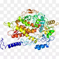 艺术食身珠宝系列剪贴画线-空若网 艺术食身珠宝系列剪贴画线-空若网