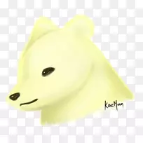 国际北极熊日-空若网 国际北极熊日-空若网