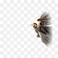 屏保星座占星术星象星座壁纸-鹰-空若网 屏保星座占星术星象星座壁纸-鹰-空若网