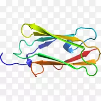 线点剪贴画-线-空若网 线点剪贴画-线-空若网