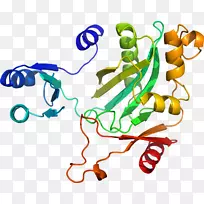 ������Ϊ�л����ߵ��������-������