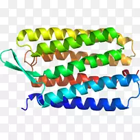 �����鱦������.���-������