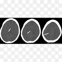 ���԰�ɫ����-������