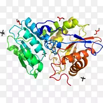 线点生物剪贴画线-空若网 线点生物剪贴画线-空若网