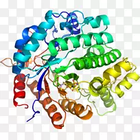 艺术身体珠宝有机体剪贴艺术珠宝首饰-空若网 艺术身体珠宝有机体剪贴艺术珠宝首饰-空若网
