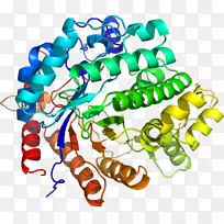 人体首饰有机体线剪贴画线-空若网 人体首饰有机体线剪贴画线-空若网