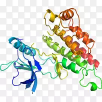人体首饰有机体线剪贴画线-空若网 人体首饰有机体线剪贴画线-空若网
