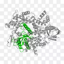 ��־��������-������