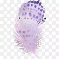 ˮ�ʻ��е�����ëˮ�ʻ�-������