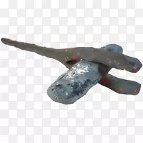 动物-空若网 动物-空若网