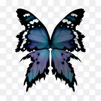 蝴蝶画笔对称-蝴蝶-空若网 蝴蝶画笔对称-蝴蝶-空若网