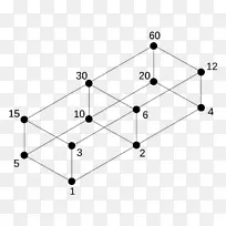 �ɷ��Թ����������-��ѧ-������