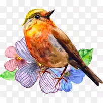 Ë®²Ê»Äñ»-¿ÕÈôÍø Ë®²Ê»Äñ»-¿ÕÈôÍø