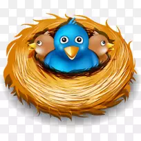 电脑图标社交媒体博客-社交媒体-空若网 电脑图标社交媒体博客-社交媒体-空若网