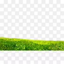 下载墙纸-绿草-空若网 下载墙纸-绿草-空若网
