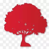 ����ֲ��Ҷ����-������