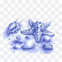 Ë®²Ê»º£ÑóÉúÎï²åͼÀ¶º£ÂÝ-¿ÕÈôÍø Ë®²Ê»º£ÑóÉúÎï²åͼÀ¶º£ÂÝ-¿ÕÈôÍø