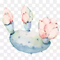 水彩画:花卉水彩画仙人掌手绘水彩画仙人掌-空若网 水彩画:花卉水彩画仙人掌手绘水彩画仙人掌-空若网