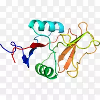 线点生物剪贴画线-空若网 线点生物剪贴画线-空若网