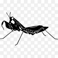 À¥³æ¼ôÓ°¼ôÌù»Éè¼Æ-¿ÕÈôÍø À¥³æ¼ôÓ°¼ôÌù»Éè¼Æ-¿ÕÈôÍø