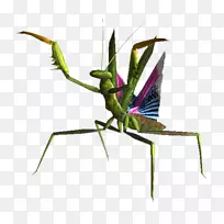 ó«òëϺ³¾£ºÐÂά¼Ó˹À¥³æ»ÄµØ-À¥³æ-¿ÕÈôÍø ó«òëϺ³¾£ºÐÂά¼Ó˹À¥³æ»ÄµØ-À¥³æ-¿ÕÈôÍø