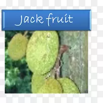 �����������-������