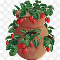 奶昔奥格里斯动画剪贴画-空若网 奶昔奥格里斯动画剪贴画-空若网