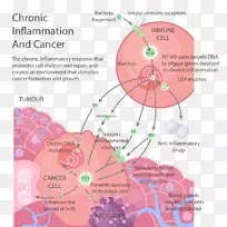 癌症无炎症饮食慢性疾病健康-空若网 癌症无炎症饮食慢性疾病健康-空若网
