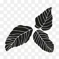 Ҷ��Ҷ-������