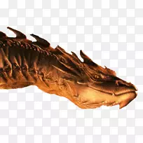 动物源性食物恐龙下巴恐龙-空若网 动物源性食物恐龙下巴恐龙-空若网