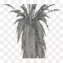 Adobe After Effect�Ӿ���Ч-Carassius auratus-������