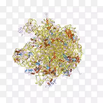 艺术树-空若网 艺术树-空若网