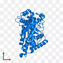 �ߵ������μ�����.��-������