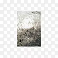 ��-��-������