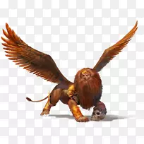 鹰动物喙野生动物-鹰-空若网 鹰动物喙野生动物-鹰-空若网