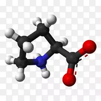 羟脯氨酸氨基酸两性离子结构-空若网 羟脯氨酸氨基酸两性离子结构-空若网