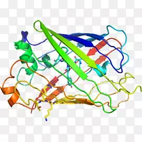线点生物剪贴画线-空若网 线点生物剪贴画线-空若网