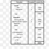 ������ʲ���ծ���������ҵ��-������