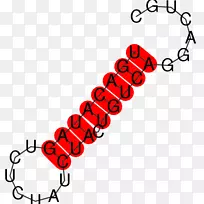 大众帕萨特轿车奥迪a6涡轮增压直喷-大众-空若网 大众帕萨特轿车奥迪a6涡轮增压直喷-大众-空若网
