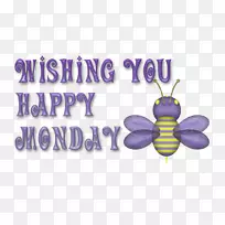 昆虫传粉器-空若网 昆虫传粉器-空若网