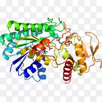 �߲��л���ϵ�м�����-�߲�-������