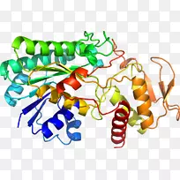 蔬菜有机体系列剪贴画-蔬菜-空若网 蔬菜有机体系列剪贴画-蔬菜-空若网