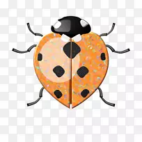 ư�����������-����-������